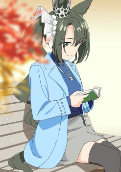 1girl absurdres animal_ears baasaku_(balasaku24) bench black_thighhighs blue_jacket blue_shirt book breasts closed_mouth ear_ornament ear_through_crown ears_through_headwear green_eyes green_hair grey_skirt hair_between_eyes hair_ornament highres holding holding_book horse_ears horse_girl horse_tail jacket jewelry long_hair long_sleeves looking_down multicolored_hair necklace on_bench open_clothes open_jacket reading satono_crown_(casual)_(umamusume) satono_crown_(umamusume) shirt side_ponytail sitting skirt solo streaked_hair tail thighhighs umamusume white_hair
