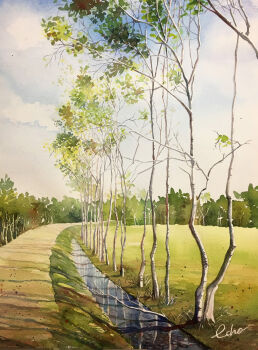 cloud cloudy_sky commentary_request day echowater hokkaido no_humans original outdoors painting_(medium) path real_world_location road scenery signature sky traditional_media tree watercolor_(medium)