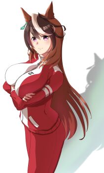 1girl animal_ears brown_hair closed_mouth commentary_request crossed_arms difkworks earrings hair_between_eyes highres horse_ears horse_girl horse_tail jacket jewelry long_hair long_sleeves multicolored_hair pants purple_eyes red_jacket red_pants shadow simple_background single_earring solo streaked_hair symboli_rudolf_(umamusume) tail tracen_training_uniform track_jacket track_pants umamusume very_long_hair white_background