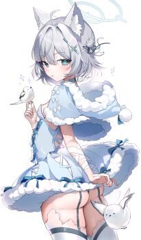 1girl :o absurdres ahoge alternate_costume animal_ears arm_ribbon ass bird bird_on_hand blue_archive blue_bow blue_capelet blue_dress blue_eyes blue_halo bow breasts capelet commentary criss-cross_straps cross_hair_ornament dress dress_bow from_behind fur-trimmed_capelet fur-trimmed_dress fur_trim garter_straps grey_hair hair_ornament hair_ribbon halo highres long-tailed_tit looking_at_viewer medium_hair mismatched_pupils nyaruin panties panty_peek pom_pom_(clothes) ribbon ribbon-trimmed_dress ribbon_trim shiroko_(blue_archive) shiroko_(young)_(blue_archive) sideboob simple_background small_breasts solo standing thighhighs tit_(bird) two-tone_bow underwear white_background white_bow white_ribbon white_thighhighs wolf_ears wolf_girl