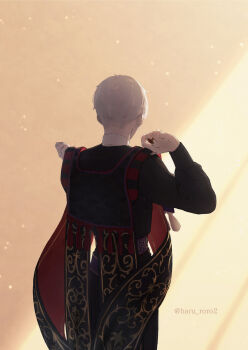 1boy absurdres black_robe commentary_request from_behind grey_hair highres jewelry light_particles long_sleeves male_focus ring robe rollo_flamme roro_(haru_roro2) short_hair sidelighting solo tassel twisted_wonderland twitter_username upper_body