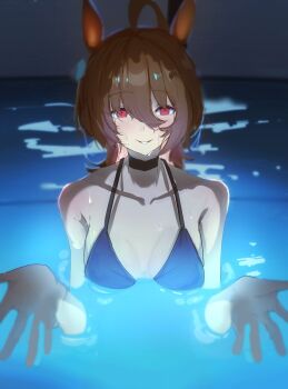 1girl agnes_tachyon_(umamusume) ahoge animal_ears bare_shoulders beckoning bikini black_bikini blush breasts brown_hair collarbone commentary_request earrings hair_between_eyes highres horse_ears horse_girl huge_ahoge i'll_teach_you_everything_(chainsaw_man) in_water jewelry medium_hair movie_reference open_hands outstretched_arm parody parted_lips partially_submerged pool reaching reaching_towards_viewer red_eyes scene_reference single_earring sll80jodo758038 smile solo swimsuit umamusume water wet wet_hair