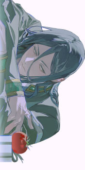 Rule 34 | 1boy, 77ho, black hair, closed mouth, commentary, gakuran, hair between eyes, highres, long sleeves, male focus, school uniform, sideways, simple background, solo, sugishita kyoutarou, symbol-only commentary, tomato, white background, wind breaker (nii satoru)