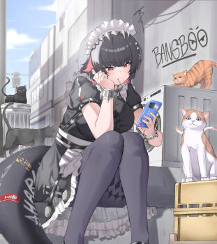 1girl adult_aongly apron black_cat black_dress black_hair black_pantyhose breasts candy cat colored_inner_hair dress ellen_joe feet_out_of_frame fins fish_tail food frilled_hairband frills hairband hand_on_own_cheek hand_on_own_face highres holding holding_phone large_breasts lollipop lollipop_in_mouth maid maid_apron maid_headdress multicolored_hair pantyhose phone pink_hair puffy_short_sleeves puffy_sleeves shark_girl shark_tail short_sleeves sitting sitting_on_stairs squatting stairs tail wrist_cuffs zenless_zone_zero