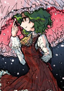 Rule 34 | 1girl, ascot, dade ne, dress, from side, green hair, highres, holding, holding umbrella, index finger raised, kazami yuuka, long sleeves, looking to the side, medium hair, one-hour drawing challenge, parasol, red dress, shirt, sleeveless, sleeveless dress, snowing, solo, touhou, umbrella, white shirt, yellow ascot