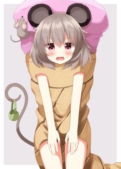 Rule 34 | 1girl, animal ears, bag, blush, border, commentary request, cowboy shot, food, food costume, grey background, grey hair, highres, holding, holding bag, ice cream, looking at viewer, mouse (animal), mouse ears, mouse girl, mouse tail, nazrin, open mouth, outside border, pink eyes, prehensile tail, ruu (tksymkw), short hair, simple background, solo, sweat, tail, touhou, white border