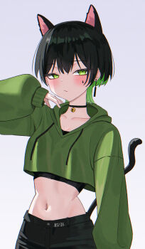 1girl a5235 animal_ears black_choker black_hair cat_ears cat_tail choker closed_mouth crop_top crop_top_overhang cropped_hoodie death_hammer_chouloky drawstring extra_ears green_eyes green_hair green_hoodie hand_up highres hood hood_down hoodie long_sleeves looking_at_viewer midriff multicolored_hair navel puffy_long_sleeves puffy_sleeves short_hair simple_background solo stomach tail two-tone_hair undershirt upper_body virtual_youtuber waktaverse white_background