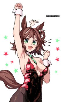 1girl ahoge animal_ears armpits between_breasts black_pantyhose blush breasts brown_hair cleavage commentary detached_collar earrings english_commentary formicid green_necktie hair_rings horse_ears horse_girl horse_tail jewelry korean_text leotard looking_at_viewer medium_breasts multicolored_hair necktie necktie_between_breasts nontraditional_playboy_bunny open_mouth pantyhose red_leotard rhein_kraft_(umamusume) short_hair simple_background single_hair_ring smile solo star_(symbol) star_earrings star_in_eye strapless strapless_leotard streaked_hair symbol_in_eye tail translation_request umamusume white_background white_streaks white_wrist_cuffs wrist_cuffs