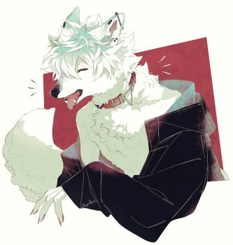 1boy black_jacket body_fur claws closed_eyes collar commentary fuji_166 furry furry_male jacket male_focus open_clothes open_jacket open_mouth original red_background short_hair solo tail tongue tongue_out upper_body white_fur white_hair wolf_boy