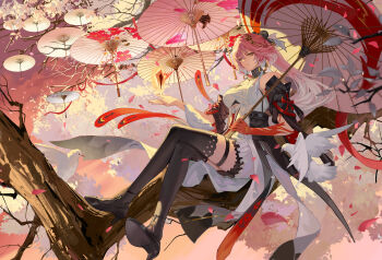 1girl bare_shoulders bird black_collar black_footwear black_jacket black_sleeves black_thighhighs braid breasts changli_(wuthering_waves) closed_mouth collar colored_extremities commentary crossed_legs detached_sleeves dress feather_hair full_body hair_between_eyes hair_extensions hair_ornament hand_up hashtag-only_commentary high_heels highres holding holding_umbrella jacket large_breasts light_smile long_hair multicolored_hair oil-paper_umbrella on_branch pink_hair pink_petals red_hands ring_hair_extensions ruoruoqiu sitting sitting_on_branch solo tacet_mark_(wuthering_waves) thigh_strap thighhighs twin_braids two-tone_hair umbrella very_long_hair white_bird white_dress white_hair white_umbrella wuthering_waves yellow_eyes