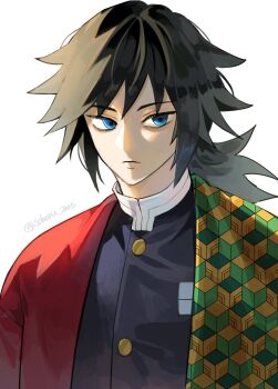 1boy absurdres black_hair black_jacket blue_eyes buttons closed_mouth demon_slayer_uniform gold_buttons hair_between_eyes haori high_collar highres jacket japanese_clothes kikkoumon kimetsu_no_yaiba looking_at_viewer low_ponytail male_focus ponytail print_haori red_haori simple_background soboru_jmt solo spiked_hair tomioka_giyuu upper_body white_background