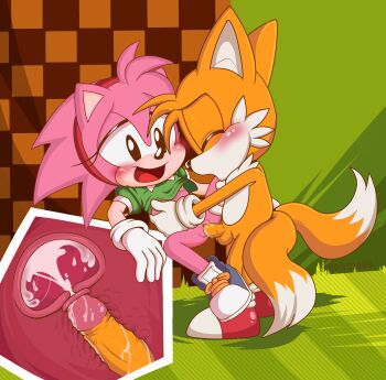 1boy 1girl absurdres amy_rose artist_request classic_amy_rose cross-section cum cum_in_pussy ejaculation furry furry_female furry_male furry_with_furry highres kodomo_doushi loli nipples penis pussy sex shota sonic_(series) standing standing_sex tails_(sonic) uterus vaginal