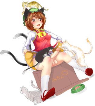 1futa animal_ears bad_id bad_pixiv_id box breasts brown_hair cat cat_ears cat_tail censored chen clothes_lift covered_erect_nipples dutch_angle earrings erection full-package_futanari full_body futanari jewelry keikouon mary_janes mikan_box multiple_tails futa_without_pussy on_box penis pointless_censoring shoes short_hair simple_background sitting sitting_on_box skirt skirt_lift small_breasts solo tail testicles touhou trembling yellow_eyes