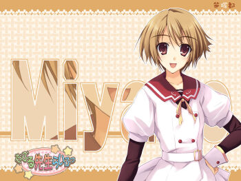 1girl :d breasts brown_eyes brown_hair character_name double_teacher_life dress hand_on_own_hip official_art official_wallpaper open_mouth sasazuka_miyako school_uniform serafuku short_hair small_breasts smile solo tomose_shunsaku white_dress