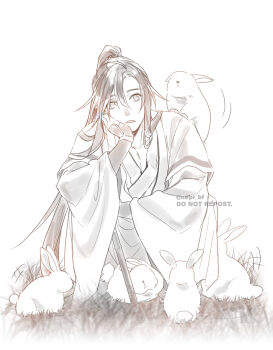 Rule 34 | 1boy, ahoge, animal, animal on shoulder, chinese clothes, commentary request, dizi, flute, grass, greyscale, hand on own cheek, hand on own face, hanfu, head rest, highres, holding, holding flute, holding instrument, instrument, long hair, long sleeves, looking at viewer, male focus, modao zushi, monochrome, open mouth, ponytail, rabbit, robe, sidelocks, sitting, sleeves past wrists, solo, transverse flute, twitter username, very long hair, watermark, wei wuxian, white background, wide sleeves, ykmr (haga)