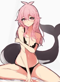 1girl 7evvw black_bra black_panties bra breasts breasts_squeezed_together cetacean_tail fins fish_tail indie_virtual_youtuber looking_at_viewer medium_breasts mumble_(shachimu) orca_girl panties pink_eyes pink_hair simple_background sitting solo solo_focus tail underwear underwear_only virtual_youtuber white_background