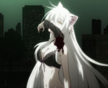 10s animal_ears animated animated_gif araragi_koyomi black_bra black_hanekawa blood bra breasts cat_ears cleavage guro hanekawa_tsubasa large_breasts lowres monogatari_(series) nekomonogatari severed_limb underwear white_hair
