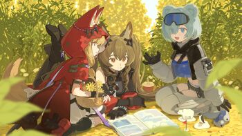 Rule 34 | 3girls, :d, angelina (arknights), animal ear fluff, animal ear hood, animal ears, arknights, arknights: endfield, aurora (arknights), bandana, basket, bear, bear ears, bear girl, belt, bird, black boots, black gloves, black jacket, blonde hair, blue bandana, blue eyes, blue gloves, blue hair, boots, bracelet, breasts, brown hair, clothing cutout, coat, cropped jacket, cup, day, disposable cup, dot nose, double-parted bangs, dress, drinking straw, elbow gloves, eyes visible through hair, fake animal ears, favilia, field, figure, fingerless gloves, flower, fox ears, fox girl, gilberta (arknights), gloves, goggles, goggles on head, grey dress, hair over one eye, headpiece, high belt, high collar, highres, holding, holding basket, hood, hood up, hooded jacket, impossible clothes, impossible dress, infection monitor (arknights), jacket, jewelry, leg warmers, legs up, long hair, long sidelocks, long sleeves, looking at another, medium breasts, midriff, multicolored jacket, multiple girls, off shoulder, official art, on floor, open clothes, open coat, open mouth, orange eyes, paw shoes, penguin, polar bear, red coat, red jacket, rossi (arknights), seiza, sidelocks, sitting, ski goggles, smile, snowshine (arknights), split mouth, tail, thigh cutout, twintails, two-tone jacket, white leg warmers, white sleeves, wolf ears, wolf girl, wolf tail, yellow flower