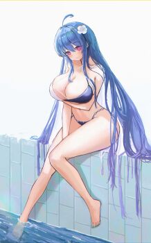 1girl absurdres ahoge arm_under_breasts azur_lane bikini blue_hair breasts cleavage commentary_request criss-cross_halter flower hair_flower hair_ornament halterneck helena_(azur_lane) helena_(shimmering_triangle_wave)_(azur_lane) highres long_hair looking_at_viewer mesc_(bfwz529650971) multicolored_bikini official_alternate_costume pool poolside purple_eyes sitting solo swimsuit two-tone_bikini very_long_hair white_bikini white_flower