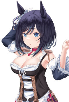 1girl absurdres animal_ears black_hair black_sleeves blue_eyes bodice breasts choker cleavage commentary_request detached_sleeves dirndl ear_scrunchie eishin_flash_(meisterschaft)_(umamusume) eishin_flash_(umamusume) german_clothes highres horse_ears horse_girl looking_at_viewer red_choker simple_background solo soujou_motona swept_bangs umamusume upper_body white_background