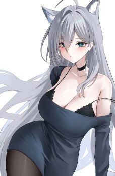 1girl absurdly_long_hair absurdres ahoge alternate_costume animal_ear_fluff animal_ears bare_shoulders black_bra black_choker black_pantyhose blue_archive blue_dress blush bra bra_peek breasts choker commentary dress extra_ears grey_hair hair_between_eyes hair_intakes highres lace lace-trimmed_bra lace_trim large_breasts long_hair off-shoulder_dress off_shoulder pantyhose parted_lips pynkmouth shiroko_terror_(blue_archive) solo tail underwear very_long_hair wolf_ears wolf_tail