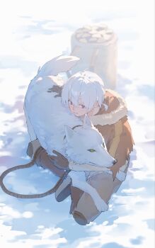 1boy animal brown_cloak brown_coat cloak coat fumetsu_no_anata_e fur-trimmed_cloak fur-trimmed_hood fur_trim fushi gloves hair_between_eyes highres hood hooded_cloak iwa111116666 pants red_eyes rope short_hair smile the_nameless_boy_(fumetsu_no_anata_e) white_background white_hair white_wolf wolf yellow_eyes