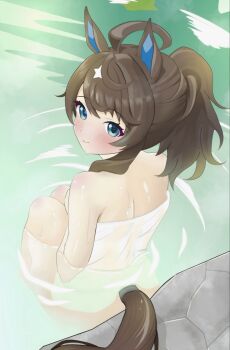 ahoge animal_ears blue_eyes blush breasts cleavage commentary_request daring_tact_(umamusume) hair_between_eyes hair_ornament highres horse_ears horse_girl horse_tail kohaku1978691 long_hair looking_at_viewer medium_breasts onsen sitting smile tail towel umamusume wet