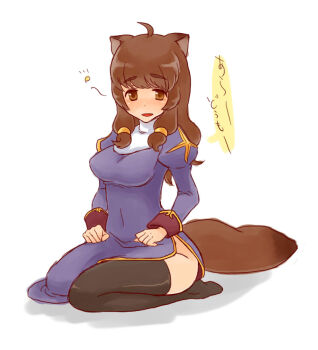 1girl animal_ears black_thighhighs blue_dress blush breasts brown_eyes brown_hair commentary_request covered_navel dress full_body hanashika juliet_sleeves long_hair long_sleeves looking_at_viewer medium_breasts no_panties no_shoes open_mouth priest_(ragnarok_online) puffy_sleeves raccoon_ears raccoon_girl raccoon_tail ragnarok_online seiza side_slit simple_background sitting smile solo tail thighhighs white_background