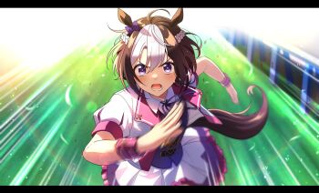 Rule 34 | 1girl, absurdres, ahoge, animal ears, arm up, black border, blurry, bokeh, border, bow, braid, brown hair, commentary, cropped jacket, crown braid, depth of field, flying sweatdrops, furrowed brow, grass, hair bow, highres, horse ears, horse girl, horse tail, jacket, light particles, light rays, looking at viewer, lower teeth only, mikawa ayumu, motion blur, motion lines, open clothes, open jacket, open mouth, outstretched arms, puff and slash sleeves, puffy sleeves, purple bow, purple eyes, running, solo, special week (special dreamer) (umamusume), special week (umamusume), sweat, tail, teeth, umamusume, white hair, wristband