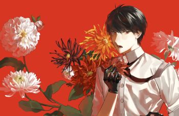 Rule 34 | 1boy, black gloves, black hair, black necktie, commentary, flower, gloves, highres, holding, holding flower, leaf, male focus, necktie, ooe (game), oosaki (ooe), plant, red background, red eyes, rimuru0131, shirt, simple background, untranslatable commentary, white flower, white shirt
