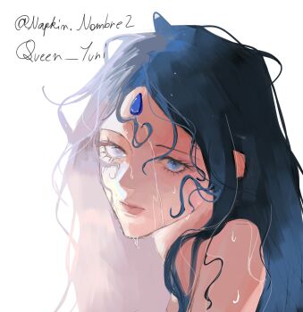 Rule 34 | 1girl, absurdres, artist name, benghuai xueyuan, blue eyes, blue hair, closed mouth, commentary, english commentary, forehead jewel, highres, honkai (series), jyahnar (benghuai xueyuan), long hair, queen yuri.mj, signature, solo, wet