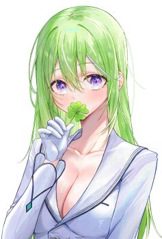 1girl absurdres blush breasts cleavage clover collarbone commentary four-leaf_clover gloves green_hair hair_between_eyes highres holding holding_clover kaze_22 korean_commentary large_breasts long_bangs long_hair long_sleeves looking_at_viewer purple_eyes shirt simple_background solo stellive straight_hair upper_body virtual_youtuber white_background white_gloves white_shirt yuzuha_riko
