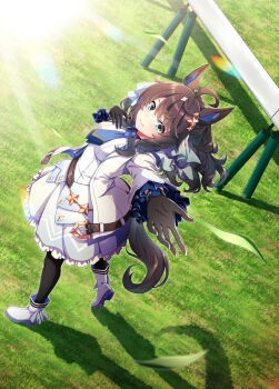 Rule 34 | 1girl, ahoge, animal ears, belt, black hair, blush, breasts, collarbone, commentary request, daring tact (umamusume), full body, gloves, hair between eyes, hair ornament, highres, horse ears, horse girl, jacket, lens flare, looking at viewer, medium breasts, pantyhose, reaching, reaching towards viewer, shinohara shinome, shoes, smile, solo, star (symbol), star hair ornament, umamusume