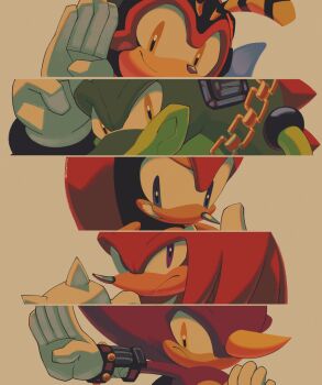 5boys blue_eyes chaoslose charmy_bee commentary derivative_work english_commentary espio_the_chameleon frown furry highres knuckles&#039;_chaotix knuckles_the_echidna looking_at_viewer mighty_the_armadillo multiple_boys purple_eyes smile sonic_(series) sonic_the_hedgehog_(classic) vector_the_crocodile video_game_cover_redraw yellow_eyes