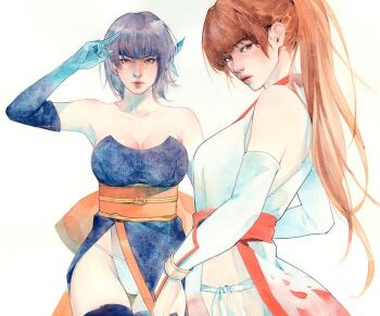 2girls ayane_(doa) bare_shoulders blush breasts brown_hair cleavage dead_or_alive elbow_gloves from_side gloves kasumi_(doa) large_breasts lips long_hair multiple_girls ninja panties pelvic_curtain ponytail serious shizu_(rainwater) short_hair siblings sisters sleeveless underwear white_background