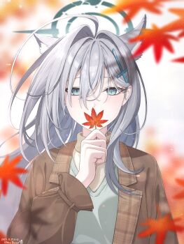 1girl ahoge animal_ear_fluff artist_name autumn_leaves blue_archive blue_eyes blurry blurry_background blurry_foreground blush broken_halo brown_jacket commentary cross_hair_ornament dated earrings extra_ears grey_hair hair_between_eyes hair_ornament halo highres holding holding_leaf jacket jewelry k-d leaf long_hair long_sleeves looking_at_viewer maple_leaf mismatched_pupils paid_reward_available shiroko_terror_(blue_archive) single_earring solo straight-on stud_earrings turtleneck upper_body