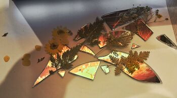 Rule 34 | broken glass, flower, fly my wings, glass, glass shards, highres, leaf, limbus company, no humans, official art inset, petals, project moon, reflection, single wing, sixgod, sunflower, symbolism, white flower, wings, yellow flower, yellow petals