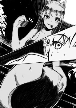 Rule 34 | 1boy, 1girl, absurdres, animal ear fluff, animal ears, bad id, bad pixiv id, blush, collarbone, convenient censoring, craft lawrence, cut-in, flatttt, greyscale, hair over breasts, highres, holding, holo, light blush, monochrome, moon, mouth hold, navel, night, nude, outdoors, smile, spice and wolf, star (sky), sweatdrop, tail, convenient tail, wolf ears, wolf girl, wolf tail