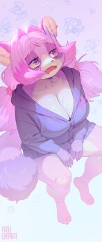 1girl animal_ear_piercing animal_ears animal_nose artist_name body_fur breasts cleavage collarbone commentary_request eyelashes fang furry furry_female gradient_background hair_intakes half-closed_eyes highres hood hood_down hooded_jacket inuki_(aruurara) jacket large_breasts low_twintails open_mouth original pink_eyes pink_hair raccoon_ears raccoon_tail sitting solo squiggle tail twintails