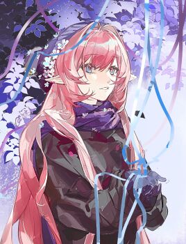 1girl alternate_costume black_coat blue_eyes chinese_commentary coat commentary_request elf elysia_(honkai_impact) gloves hat highres honkai_(series) honkai_impact_3rd long_hair parted_lips pink_hair pointy_ears purple_gloves purple_hat purple_scarf scarf solo very_long_hair winter winter_clothes winter_coat winter_gloves ye83360002