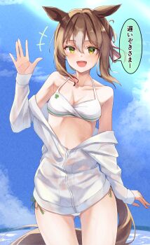 +++ 1girl :d absurdres animal_ears bikini bikini_under_clothes blue_sky breasts brown_hair clover_print collarbone colored_tips commentary_request cowboy_shot day double-parted_bangs fine_motion_(umamusume) green_eyes grey_hair hair_between_eyes hand_up highres horse_ears horse_girl horse_tail jacket long_sleeves looking_at_viewer medium_breasts medium_hair multicolored_hair open_mouth outdoors pandoa_(mikage0495) sky smile solo swimsuit tail translation_request umamusume waving white_bikini white_jacket zipper