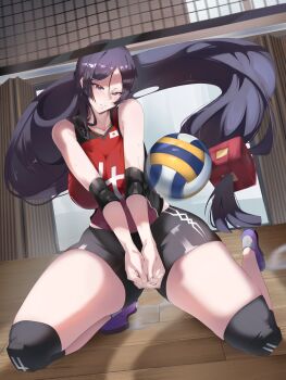 1girl absurdres fate/grand_order fate_(series) highres mature_female minamoto_no_raikou_(fate) non-web_source purple_eyes purple_hair slob_slime solo solo_focus sportswear tall_female volleyball