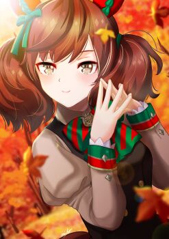 Rule 34 | 1girl, animal ears, autumn leaves, black dress, blush, bow, bowtie, breasts, brown eyes, brown hair, closed mouth, commentary request, diagonal-striped bow, dress, ear bow, ear covers, ear ribbon, green bow, green bowtie, highres, horse ears, horse girl, horse tail, juliet sleeves, leaf, long sleeves, looking at viewer, medium hair, multicolored hair, nice nature (poinsettia ribbon) (umamusume), nice nature (umamusume), otono (bkt4b), pinafore dress, puffy sleeves, sleeveless, sleeveless dress, smile, solo, streaked hair, striped bow, striped bowtie, striped clothes, tail, twintails, umamusume