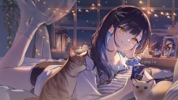 1girl absurdres ass bbony_0_0 bedroom black_hair black_shorts blue_hair candle cat cellphone christmas_lights commentary_request curtains gangzi_(vtuber) hair_ornament hairclip hand_on_own_cheek hand_on_own_face highres holding holding_phone korean_commentary lantern lying multicolored_hair on_bed on_stomach phone picture_frame scrunchie shirt short_shorts short_sleeves shorts socks stellive t-shirt the_pose white_shirt white_socks window wrist_scrunchie yellow_eyes