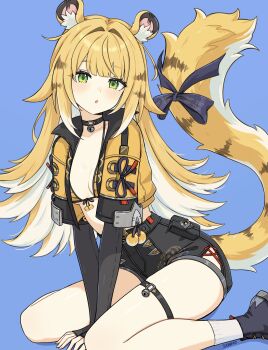 1girl :o absurdres animal_ear_fluff animal_ears animal_print arm_support arms_between_legs artist_name bell bikini black_choker black_gloves black_shirt blonde_hair blue_background blue_bow blue_ribbon blush bow breasts choker collarbone elbow_gloves fingerless_gloves fingernails front-tie_bikini_top front-tie_top gloves green_eyes high-waist_shorts highres huge_filesize jacket jingle_bell ju_fufu loli long_hair looking_at_viewer multicolored_hair neck_bell open_clothes open_jacket open_mouth orange_jacket print_bikini ribbon shirt short_sleeves shorts simple_background sitting small_breasts socks solo suoniko swimsuit tail tail_bow tail_ornament tail_ribbon thigh_strap thighs tiger_ears tiger_girl tiger_print tiger_tail very_long_hair white_hair white_socks yellow_bikini yellow_jacket zenless_zone_zero