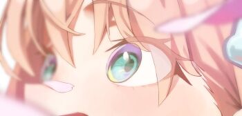 1girl aqua_eyes commentary_request eye_focus eyes_visible_through_hair falling_petals highres hinoshita_kaho link!_like!_love_live! looking_up love_live! open_mouth orange_hair petal_on_nose petals pink_petals solo sunkeun virtual_youtuber