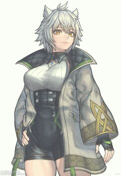 1girl animal_ear_fluff animal_ears black_gloves breasts cat_ears chest_jewel commentary core_crystal_(xenoblade) fingerless_gloves gloves gofelem grey_background grey_hair hand_on_own_hip large_breasts lips na&#039;el_(xenoblade) pink_lips simple_background smile solo xenoblade_chronicles_(series) xenoblade_chronicles_3 xenoblade_chronicles_3:_future_redeemed