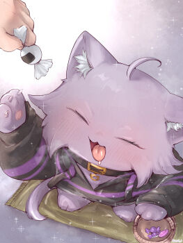 1girl 1other ahoge animal animal_collar animal_ear_fluff animalization black_collar black_sweater candy cat closed_eyes clothed_animal collar food highres holding holding_candy holding_food hololive ikayaki_(ikayaki4) nekomata_okayu open_mouth solo_focus sweater tongue