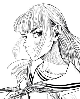 1girl breasts commentary_request frown hatching_(texture) highres lee_(dragon_garou) light_blush lips long_hair looking_at_viewer monochrome original portrait profile school_uniform serafuku serious sidelocks small_breasts solo