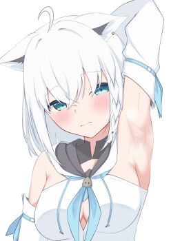 1girl absurdres ahoge animal_ears aqua_eyes armpit_focus armpits ascot blue_ascot blush braid brooch commentary_request detached_sleeves fox_ears fox_girl highres hololive jewelry looking_at_viewer presenting_own_armpit shirakami_fubuki shirakami_fubuki_(1st_costume) shirt simple_background single_braid solo steaming_body sweat syabokotor upper_body virtual_youtuber white_background white_hair white_shirt